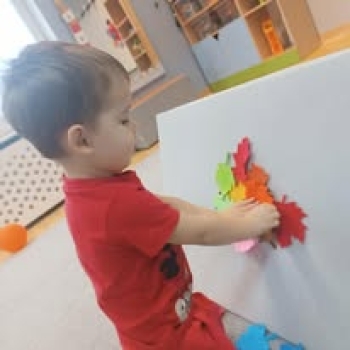 467186767_1012423927355088_6401052803789283016_n