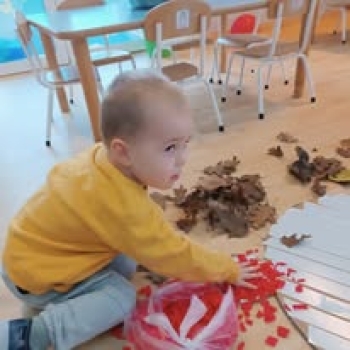 467335743_1012423534021794_2260297207152202384_n