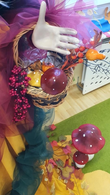 309116724_537505208180298_2203529214957923400_n