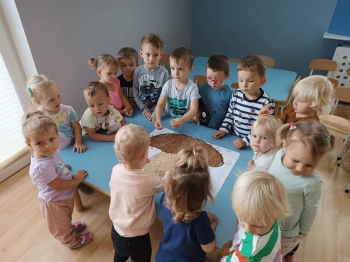 309371477_537506298180189_2951882513023891732_n