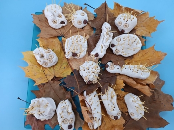 314489902_572028041394681_4885148083402871225_n